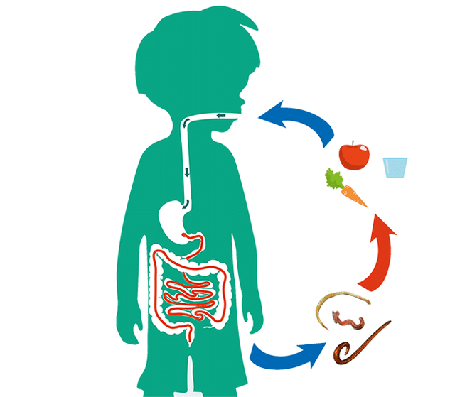 Οδοί μόλυνσης στον άνθρωπο μέσω παρασίτων